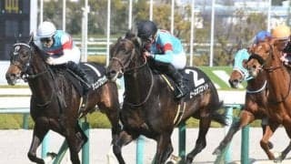 【アルメリア賞結果】ピースオブエイトが8か月ぶりの休み明けを快勝