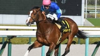 【大阪城S結果】アルサトワが2番手から押し切って連勝