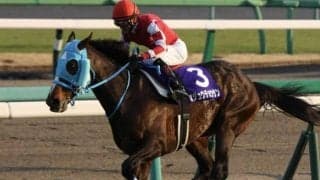 【阪神スプリングJ】11歳馬オジュウチョウサンが登録、日本馬最高齢JRA重賞勝利なるか