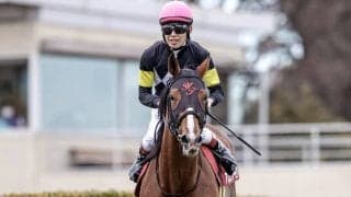 【弥生賞】売上は102億9740万5700円、昨年から約22.1億円の増加