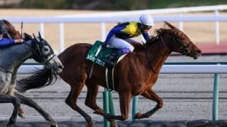 【中山牝馬S登録馬】ルビーカサブランカなど18頭