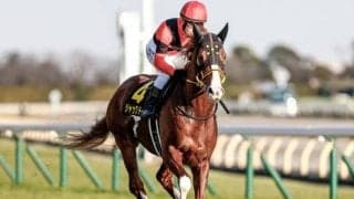 【金鯱賞見どころ】目下4連勝中のジャックドールが初の重賞に挑む