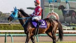 【阪神スプリングJ想定騎手】オジュウチョウサンは石神深一騎手、タガノエスプレッソは平沢健治騎手