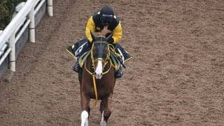 【金鯱賞想定騎手】ジャックドールは藤岡佑介騎手、レイパパレは川田将雅騎手