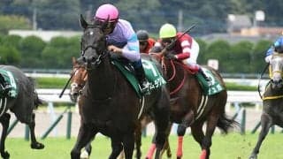 【フィリーズレビュー想定騎手】ナムラクレアは浜中俊騎手、アネゴハダは酒井学騎手
