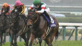 【AI予想・金鯱賞】実績はメンバーで随一！ 得意の距離で「あの馬」が完全復活へ
