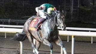 【地方競馬】2021年クイーン賞を制したダイアナブライトが引退、繁殖入り 笹川翼騎手「出会えて良かったです」