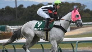 【先週のJRA抹消馬】カレンチャンの仔カレンモエ、重賞勝ち馬5頭コントラチェック・マルターズディオサなど