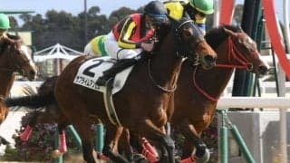 【フィリーズレビュー展望】短距離志向の馬も多く参戦する桜花賞トライアル