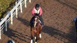 レシステンシアなど、先週の入厩情報/栗東トレセンニュース