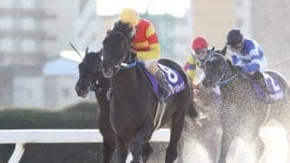 【名古屋・中京ペガスターC結果】プライムデュークがアメリカンペイトリオット産駒として初の重賞制覇