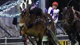 ばんえい競馬なのに速い!? 超軽量戦のスピードスター賞
