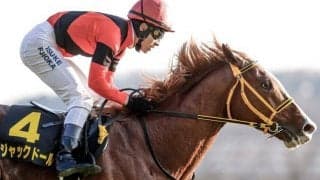 【金鯱賞予想オッズ】4連勝中のジャックドールが予想1番人気