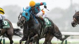 【中山牝馬S予想オッズ】テルツェットが予想1番人気