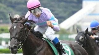 【フィリーズレビュー予想オッズ】ナムラクレアが予想1番人気