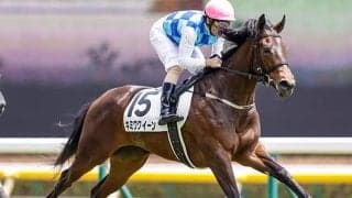 伏兵の台頭が目立つフィリーズレビュー　波乱含みの一戦でAIが指名した注目馬とは？