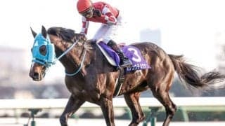 【阪神スプリングJ予想オッズ】オジュウチョウサンが予想1番人気