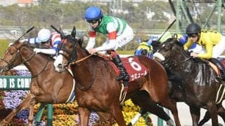 マルシュロレーヌの姪が本領発揮で重賞初V 母サンブルエミューズはハービンジャーと好相性