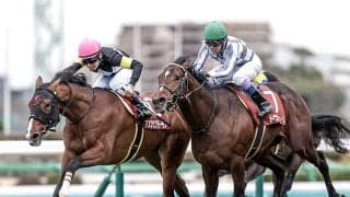 ディープ産駒7頭目の弥生賞V　さらなる飛躍の可能性を感じさせる血統構成