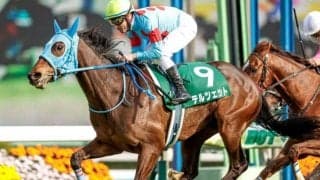 【中山牝馬S展望】牝馬のハンデ重賞、あの馬の巻き返しを期待したい