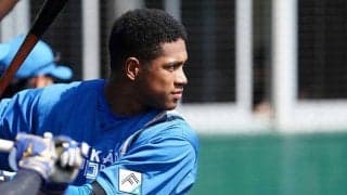 日本ハム新庄監督、2番・万波でOP戦5連勝なるか　前日に同点3ラン、スタメン発表