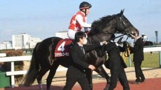 【ドバイシーマクラシック】ステラヴェローチェはM.デムーロ騎手で参戦