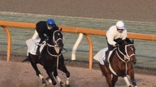 ディープボンド、阪神大賞典1週前追い切り速報/栗東トレセンニュース