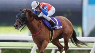 【大井・フジノウェーブ記念結果】ルーチェドーロが2番手抜け出しで後続を完封