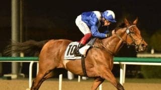 【ドバイターフ】昨年覇者ロードノースが連覇をかけて出走へ