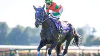 【次走】ユーバーレーベンはD.レーン騎手とのコンビでドバイシーマクラシックに参戦