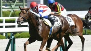 【次走】ピンハイは桜花賞へ 前走チューリップ賞2着で優先出走権獲得