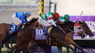 マルシュロレーヌが引退、繁殖馬に　BCディスタフで日本馬初の海外ダートG1制覇