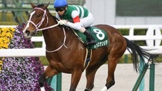 【高松宮記念想定】GI・2勝目を狙うレシステンシア、重賞4勝のメイケイエールなど15頭