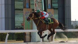 【名古屋大賞典】クリンチャーは6枠7番