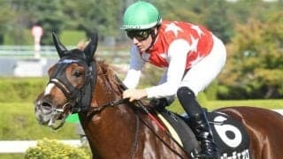 【ドバイゴールドC】ヴェローチェオロはM.デムーロ騎手とのコンビで参戦