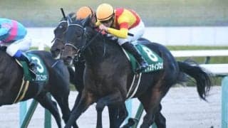【次走】ジャスティンロックは松山弘平騎手との再コンビで皐月賞へ 