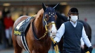 【金鯱賞出走馬・騎手確定】ジャックドール＆藤岡佑介騎手、レイパパレ＆川田将雅騎手など13頭