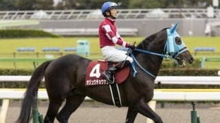 【阪神スプリングJ出走馬・騎手確定】オジュウチョウサン＆石神深一騎手、タガノエスプレッソ＆平沢健治騎手など11頭