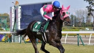 【中山牝馬S出走馬・騎手確定】ミスニューヨーク＆M.デムーロ騎手、テルツェット＆田辺裕信騎手など16頭