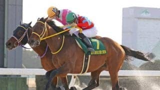 【名古屋大賞典結果】クリンチャーがゴール寸前で差し切り連覇　川田将雅騎手は3連覇