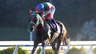 【高知・黒船賞出走予定馬】DG4勝馬ラプタス、根岸Sの2着馬ヘリオスら