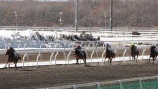 道営ホッカイドウ競馬の競走能力・発走調教検査がスタート