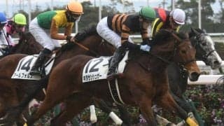 【次走】キタサンシュガーは坂井瑠星騎手でフラワーCへ