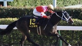 【黒船賞】JRA出走予定馬