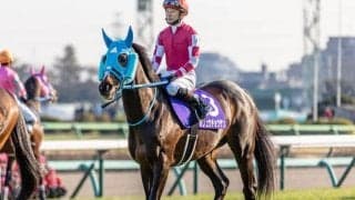 【阪神スプリングJ枠順確定】オジュウチョウサンは5枠5番、タガノエスプレッソは2枠2番