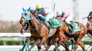 【中山牝馬S枠順確定】ミスニューヨークは2枠3番、テルツェットは5枠9番