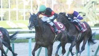 【次走】重賞2勝馬セリフォスはNHKマイルCへ直行　その後は安田記念を予定