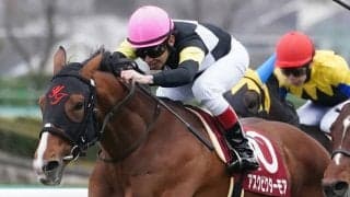 【弥生賞】田辺「まだまだ成長の余地ある」アスクビクターモアが重賞初制覇