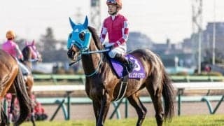 【今日の注目ポイント】オジュウチョウサンの日本馬最高齢JRA重賞勝利なるか