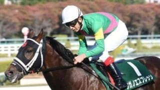 【阪神スプリングJ予想】昨年の最優秀障害馬らが集う大一番への見逃せない一戦